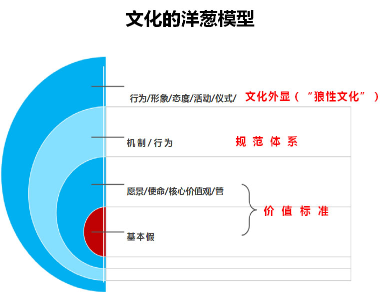 向華為學(xué)習(xí):企業(yè)文化與價(jià)值鏈管理