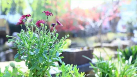 �\������