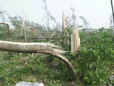 ���ڼ��F����ķ����WԺ��һ�r�g���}�Ǟ����ṩ������Ԯ